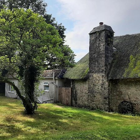 Quintessential, Secluded South Devon Cottage Plymouth Zewnętrze zdjęcie